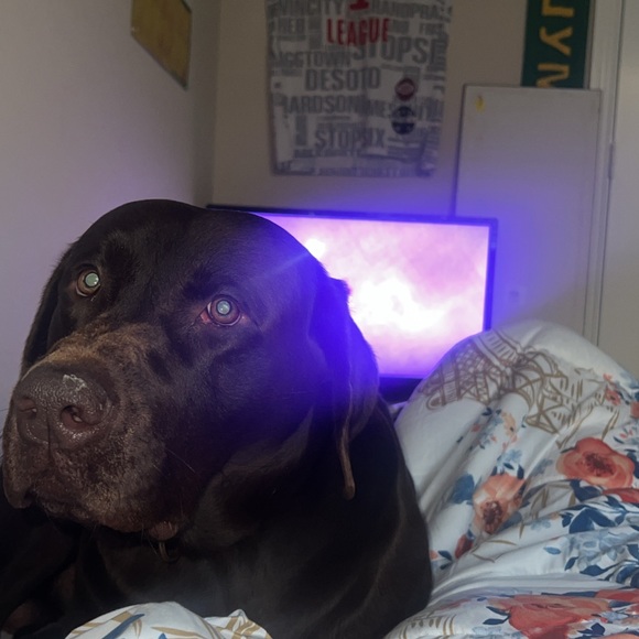 Meet your Posher, Mike - Picture 1 of 1